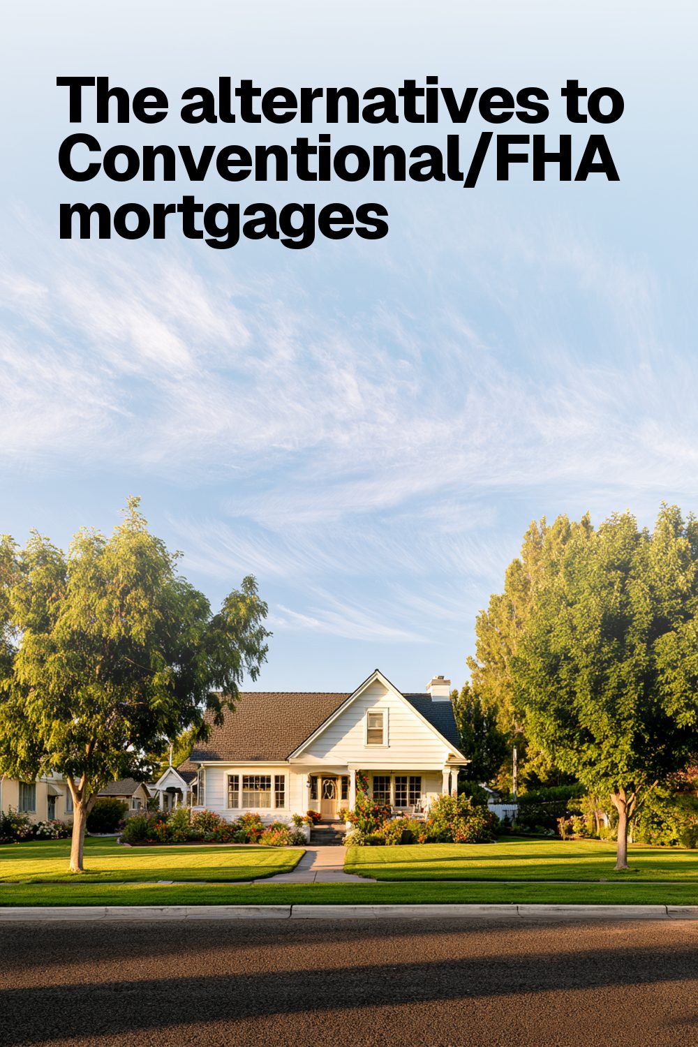 The alternatives to Conventional/FHA mortgages